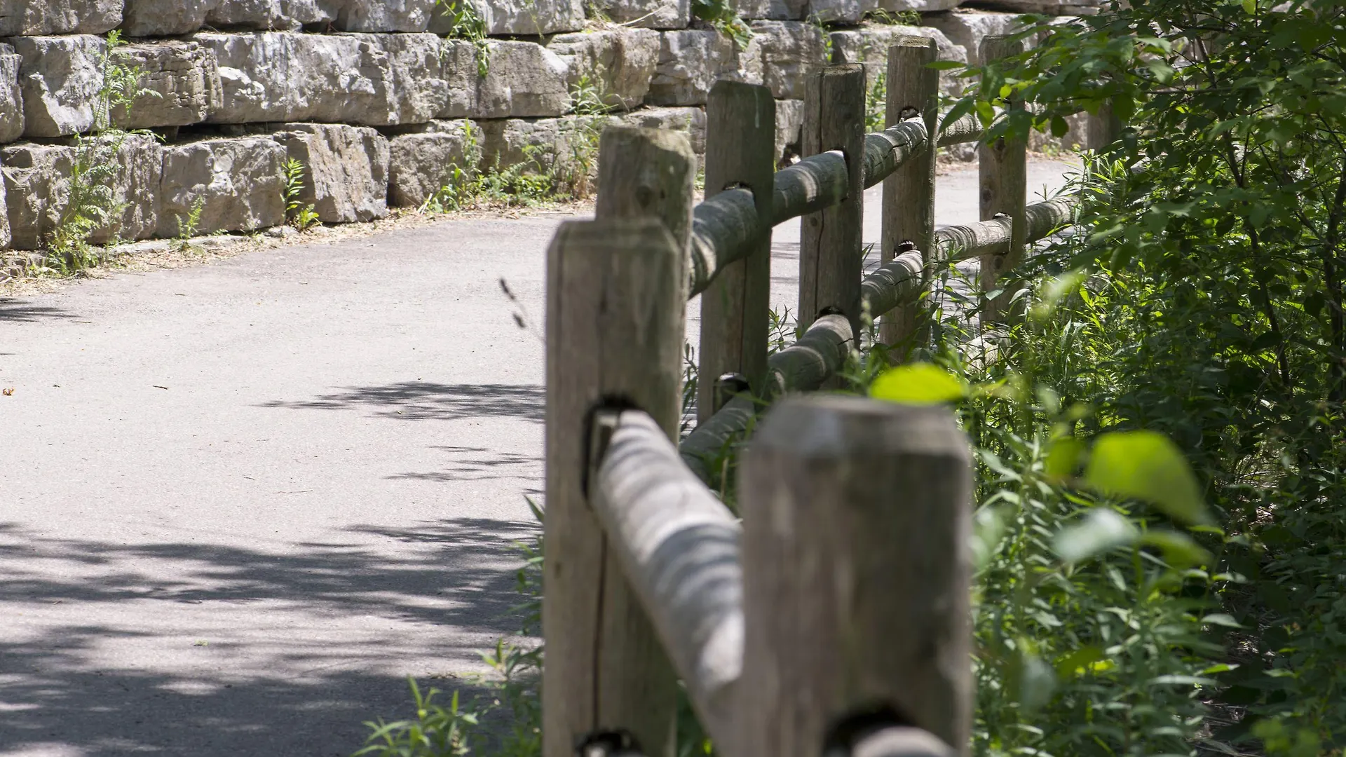 فندق وأجنحة تورونتو دون فالي 3*,